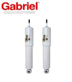 imagen de DAIHATSU FEROZA GABRIEL Delanteros 1989/2000